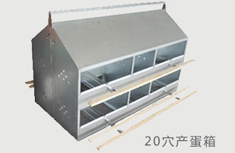 人工產蛋撿蛋箱